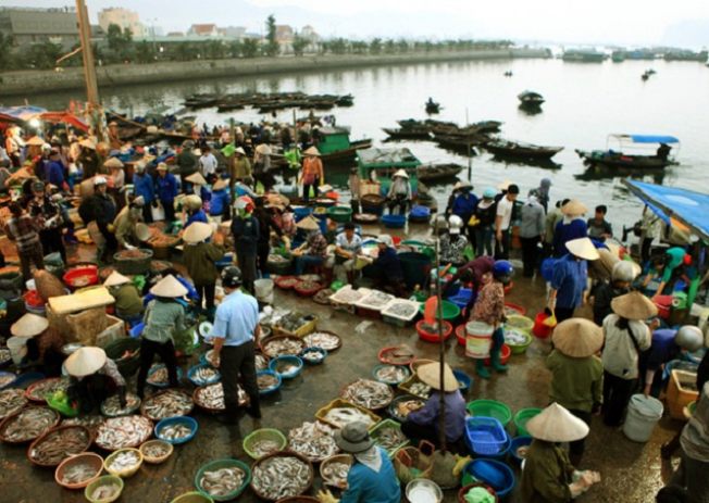 Explore Ha Long Wharf's seafood market