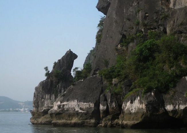 Tìm hiểu hòn Chó Đá ở Hạ Long