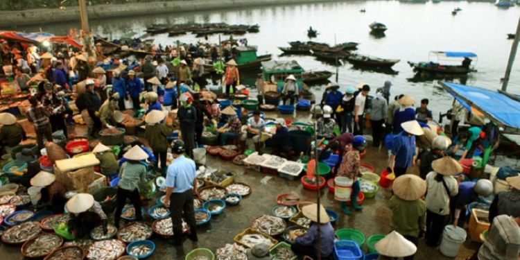 Explore Ha Long Wharf's seafood market