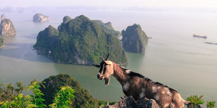 Bai Tho Mountain - The mountain of poetry and wonderful mysteries