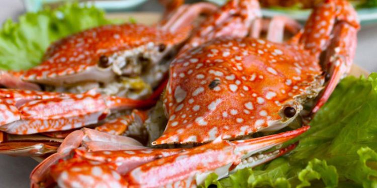 Seafood in Halong Bay