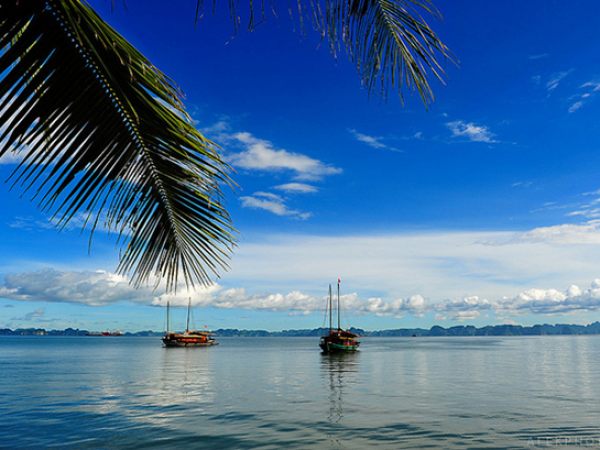 The Charming Beauty Of Bai Chay Beach
