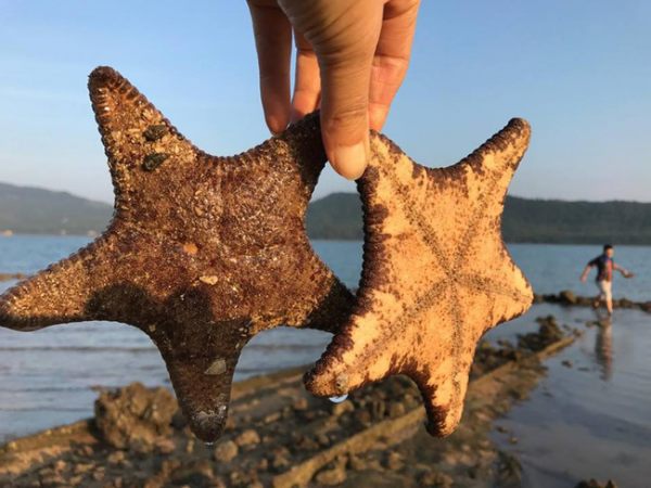 Có một hòn đảo hoang sơ tuyệt đẹp để “trốn Tết” ở Quảng Ninh