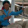 Miến dong Bình Liêu – Đặc Sản Quảng Ninh