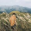 Vương quốc cỏ lau Bình Liêu, Quảng Ninh