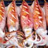 Ăn hải sản gì khi đi du lịch Cô Tô?