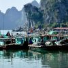 Vẻ đẹp cung đường bao biển Hạ Long