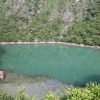 Độc Đáo Dạng Sinh Thái Áng Tùng