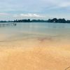Du Lịch Sinh Thái Tại Vân Đồn Và Tận Hưởng Thiên Nhiên Hoang Sơ