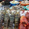 MÁCH BẠN các quán ăn hải sản ngon không tưởng ở Hạ Long