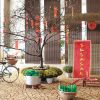Chụp ảnh cưới đẹp như mơ tại Sun World HaLong Park