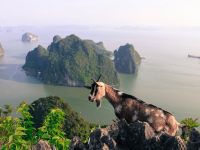 Bai Tho Mountain - The mountain of poetry and wonderful mysteries