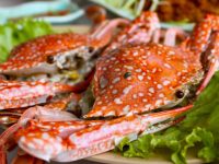 Seafood in Halong Bay