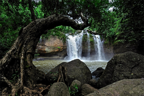 không gian xanh - vườn quốc gia khao yai