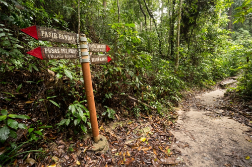 không gian xanh - vườn quốc gia penang 