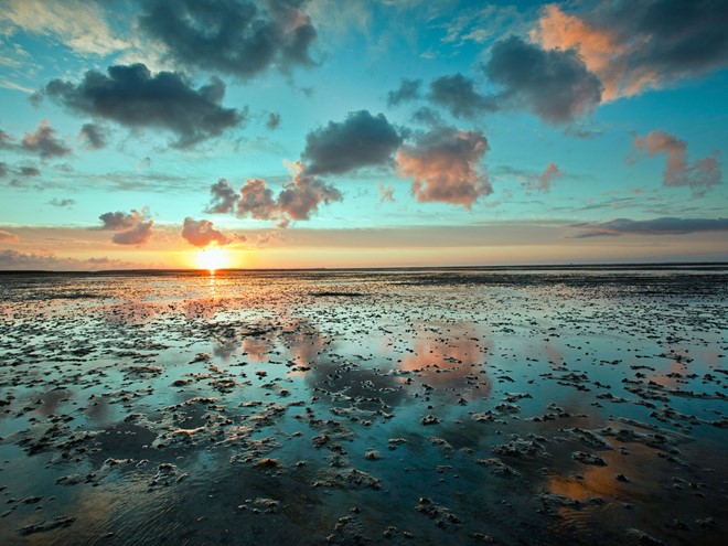bien wadden biển wadden
