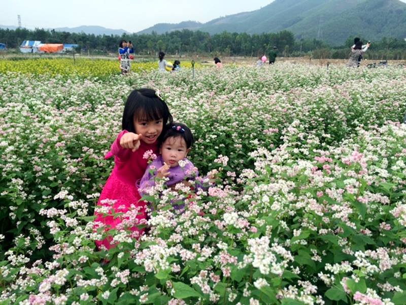 Lạc bước tới ‘thiên đường hoa Quảng La’ mới toanh ở HẠ lONG